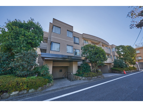 小石川グランドヒルズの写真 12枚目