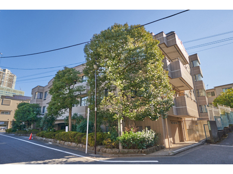 小石川グランドヒルズの写真 13枚目