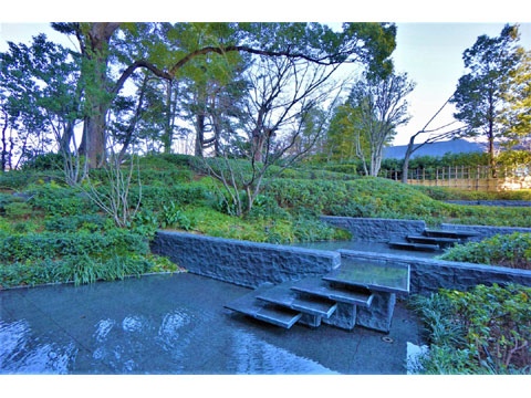 ザ・パークハウス白金二丁目タワーの写真 10枚目