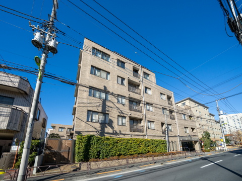 パークハイム自由が丘弐番館の写真 13枚目