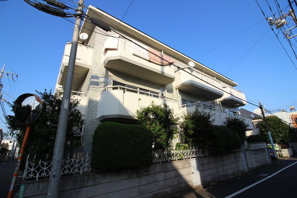 等々力グレイスマンションの写真 5枚目