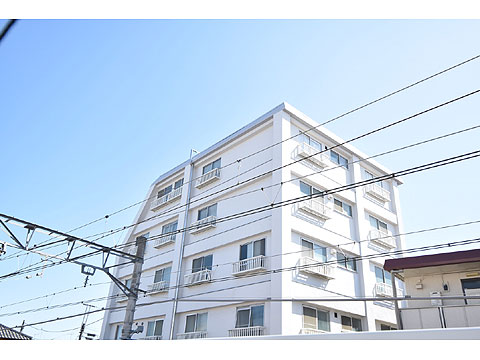 大洋奥沢マンションの写真 8枚目