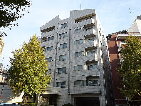 ヴェラハイツ広尾の写真 13枚目