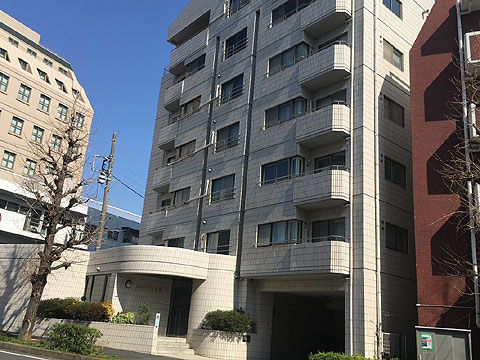 ヴェラハイツ広尾の写真 20枚目