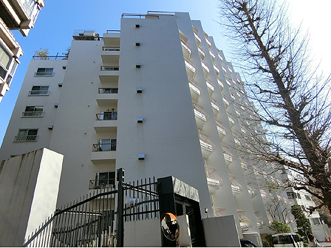 原宿ビューパレーの写真 6枚目