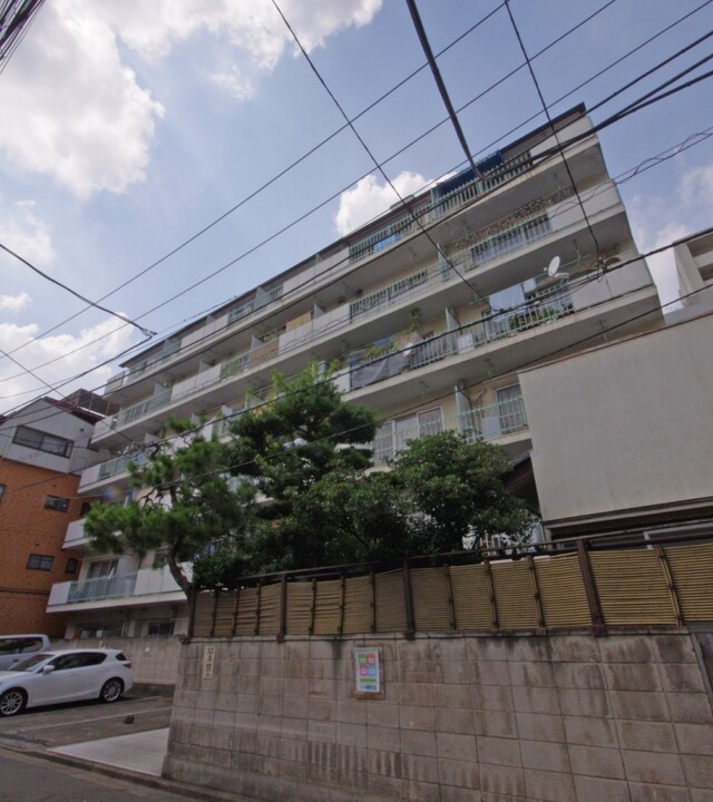 白金コンドの写真 6枚目