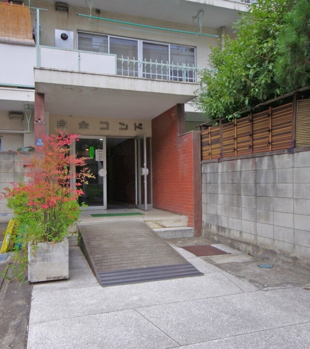 白金コンドの写真 7枚目