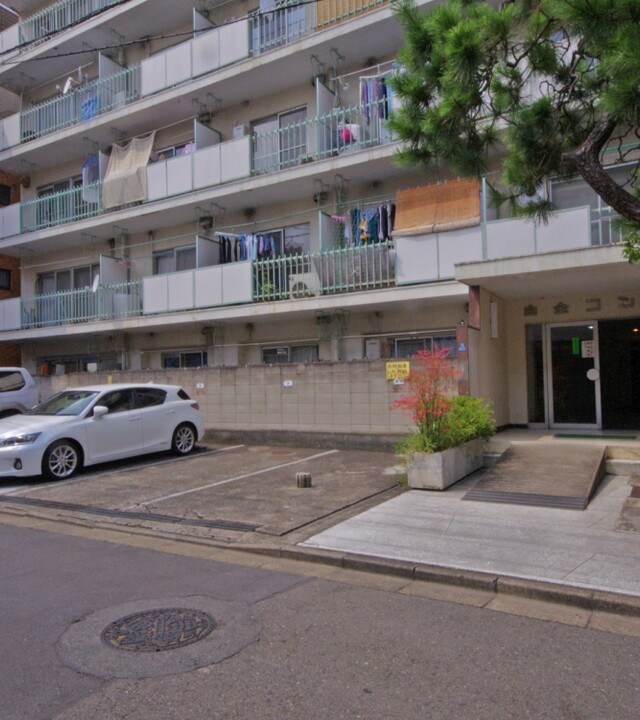 白金コンドの写真 10枚目