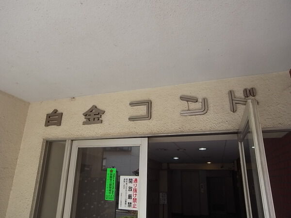 白金コンドの写真 5枚目