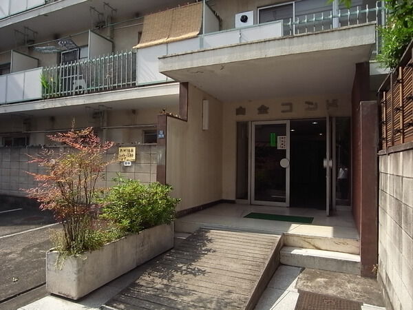 白金コンドの写真 8枚目