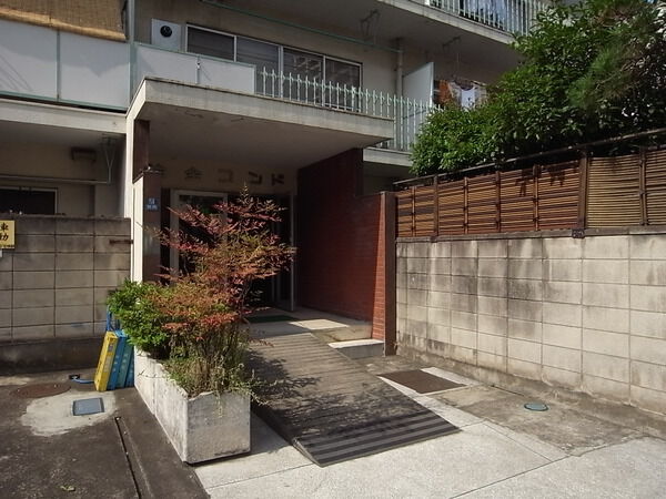 白金コンドの写真 9枚目