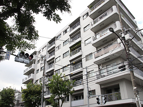 シャトー東洋の写真 9枚目