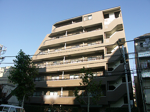 サンパティオ文京千石の写真 6枚目