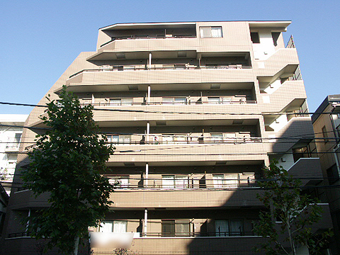 サンパティオ文京千石の写真 7枚目