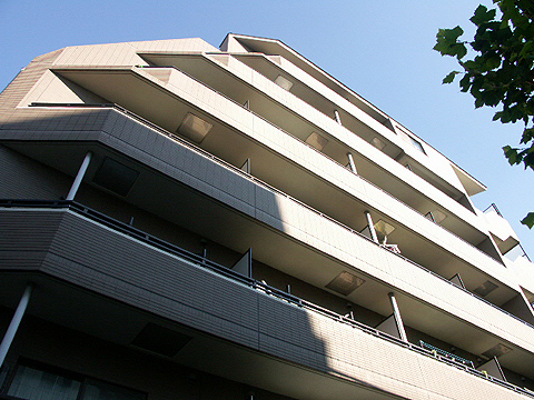 サンパティオ文京千石の写真 9枚目