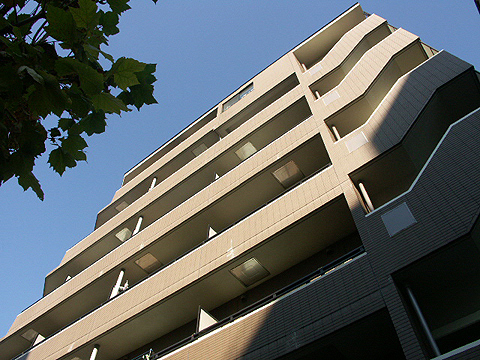 サンパティオ文京千石の写真 10枚目