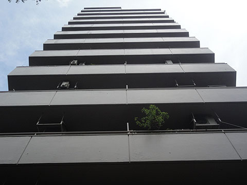 文京ハイツの写真 4枚目