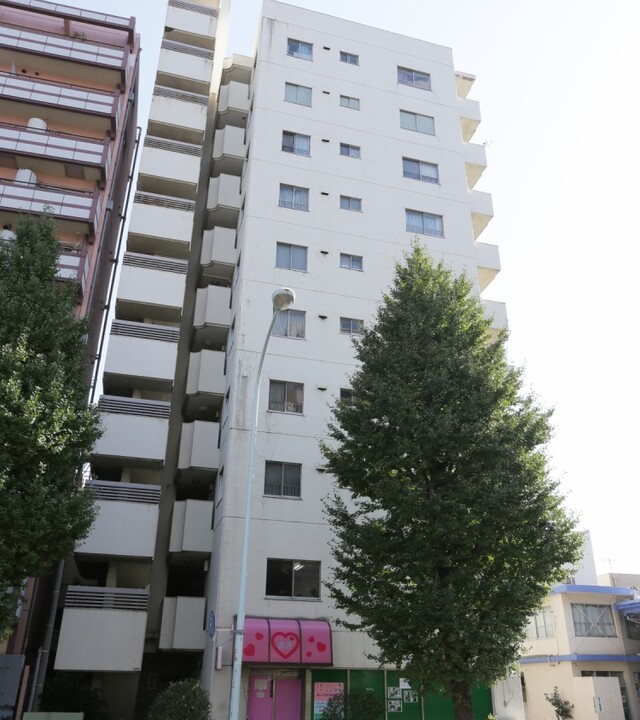 白山サニーハイツのエントランス・共用部