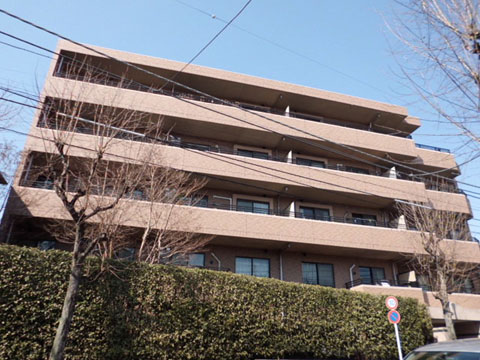 ファミール深沢の写真 11枚目