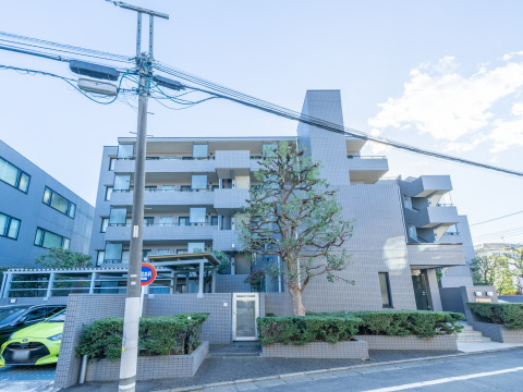 東急ドエルアルス等々力弐番館の写真 13枚目