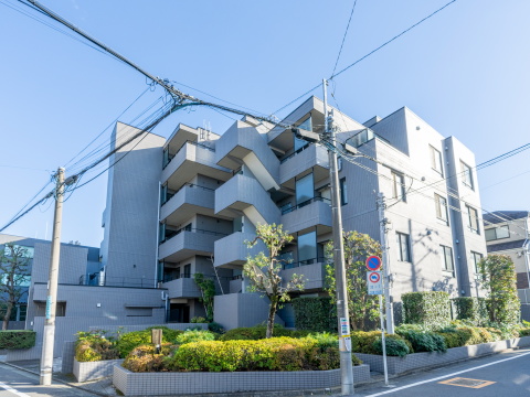 東急ドエルアルス等々力弐番館の写真 14枚目