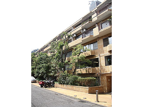 仙石山アネックスの写真 10枚目