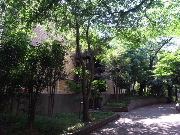 仙石山アネックスの写真 5枚目