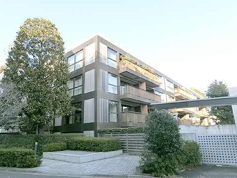 フォレストテラス松濤の写真 4枚目