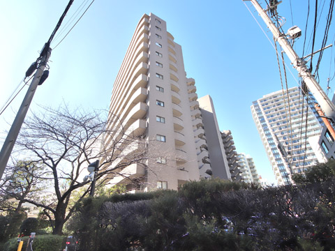三田シティハウスの写真 15枚目