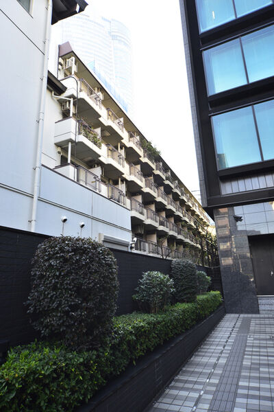 ソフィア六本木の写真 5枚目