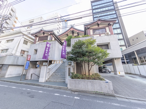 ソフィア六本木の写真 13枚目