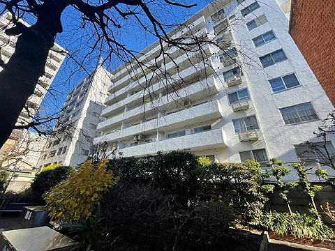 麻布東町マンションの写真 20枚目