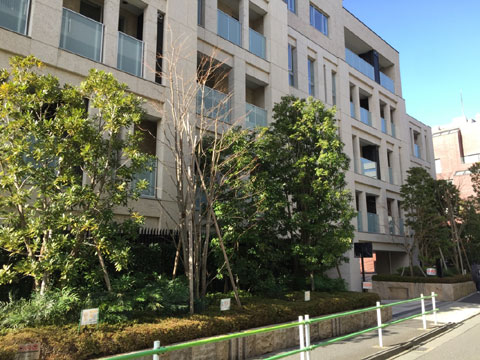 ザ・パークハウスグラン南青山の写真 13枚目