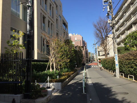 ザ・パークハウスグラン南青山の写真 14枚目