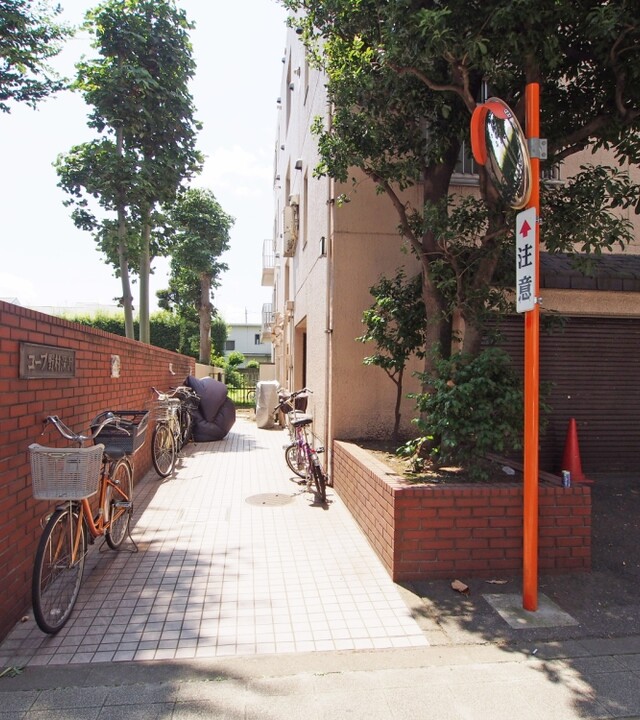 コープ野村深沢の写真 9枚目