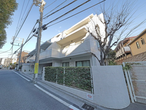 白山ヒルズの写真 14枚目