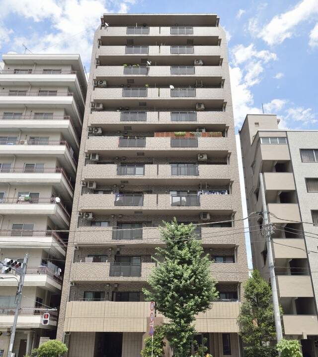 レクセルマンション音羽の写真 4枚目