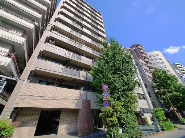 レクセルマンション音羽の写真 8枚目