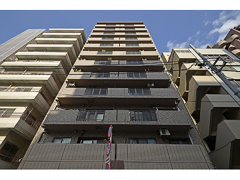 レクセルマンション音羽の写真 13枚目