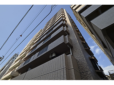 レクセルマンション音羽の写真 14枚目