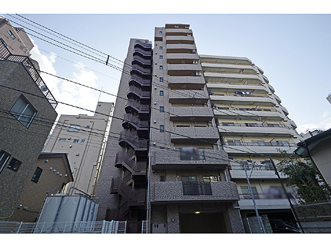 レクセルマンション音羽の写真 15枚目