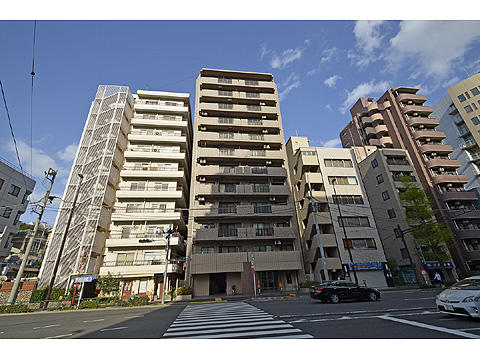 レクセルマンション音羽の写真 16枚目