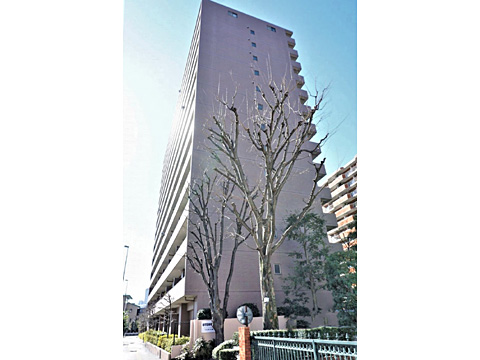 ビラカーサ三田の写真 12枚目