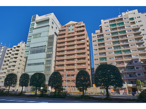 ジェイパーク文京西片の写真 11枚目