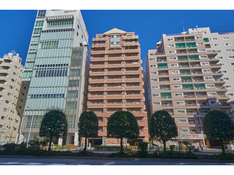 ジェイパーク文京西片の写真 12枚目