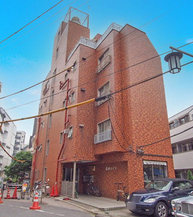 森林ハイツのエントランス・共用部