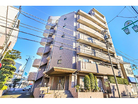 レックス等々力ヴェルデンスの写真 17枚目