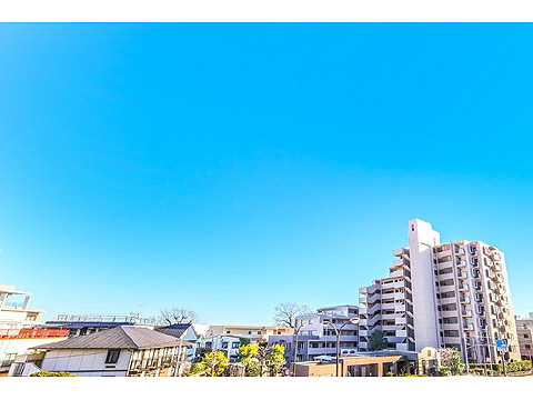 レックス等々力ヴェルデンスの写真 18枚目