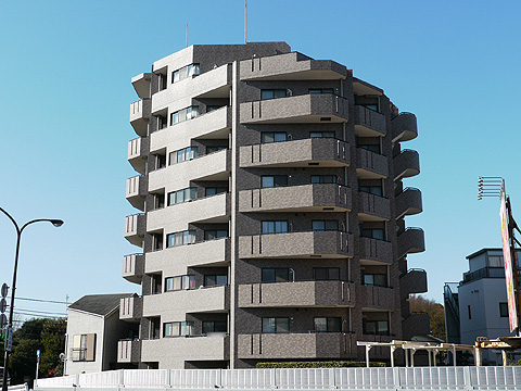 レックス等々力ヴェルデンスの写真 19枚目