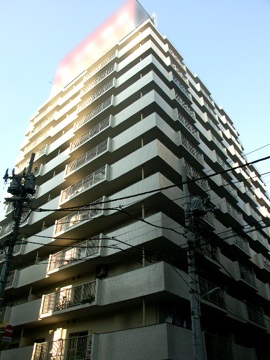 ニューライフ日本橋の写真 11枚目